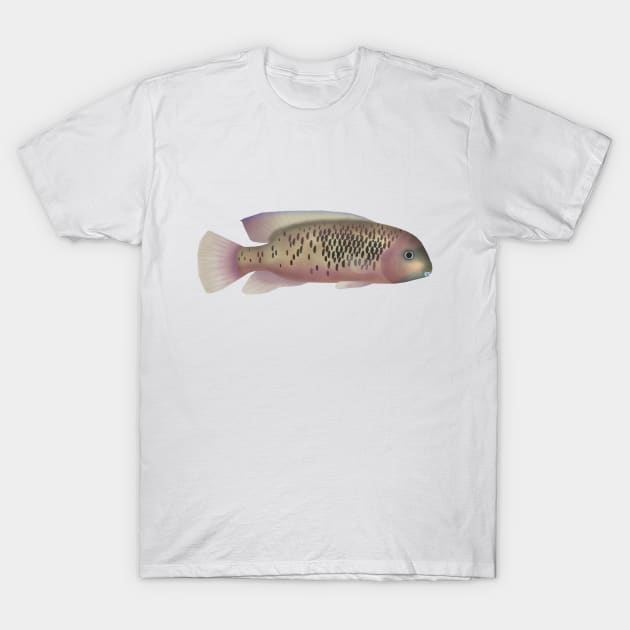 Sarabia Cichlid T-Shirt by FishFolkArt